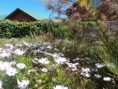 /album/fotogaleria/dsc07563-jpg/