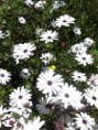 /album/fotogaleria/dsc07571-jpg/
